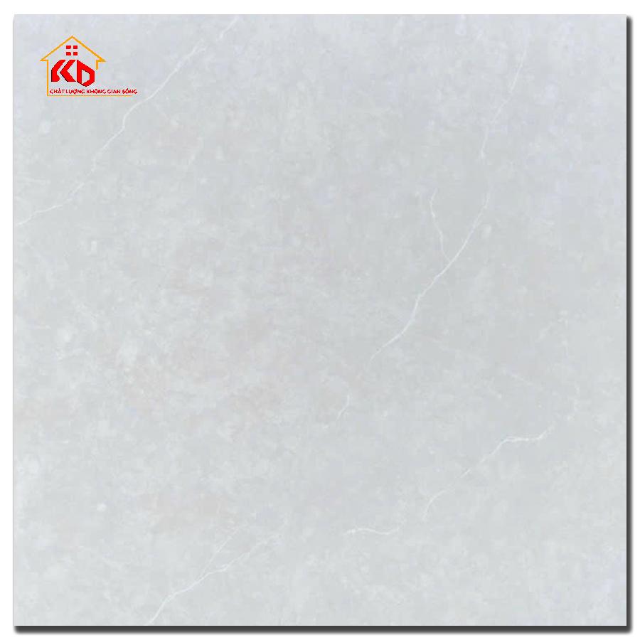 Gạch Á Mỹ 60x60cm W6141