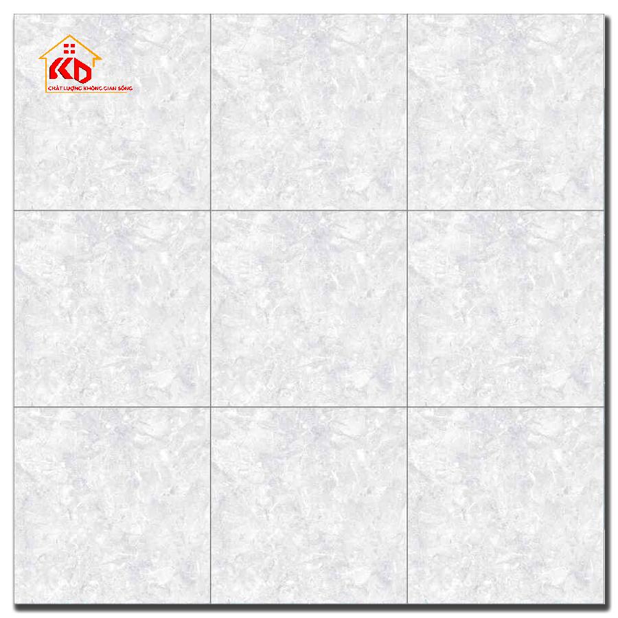 Gạch Đồng Tâm 30x30cm 3030ANDES001
