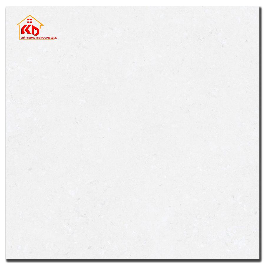 Gạch Đồng Tâm 30x30cm 3030GECKO001