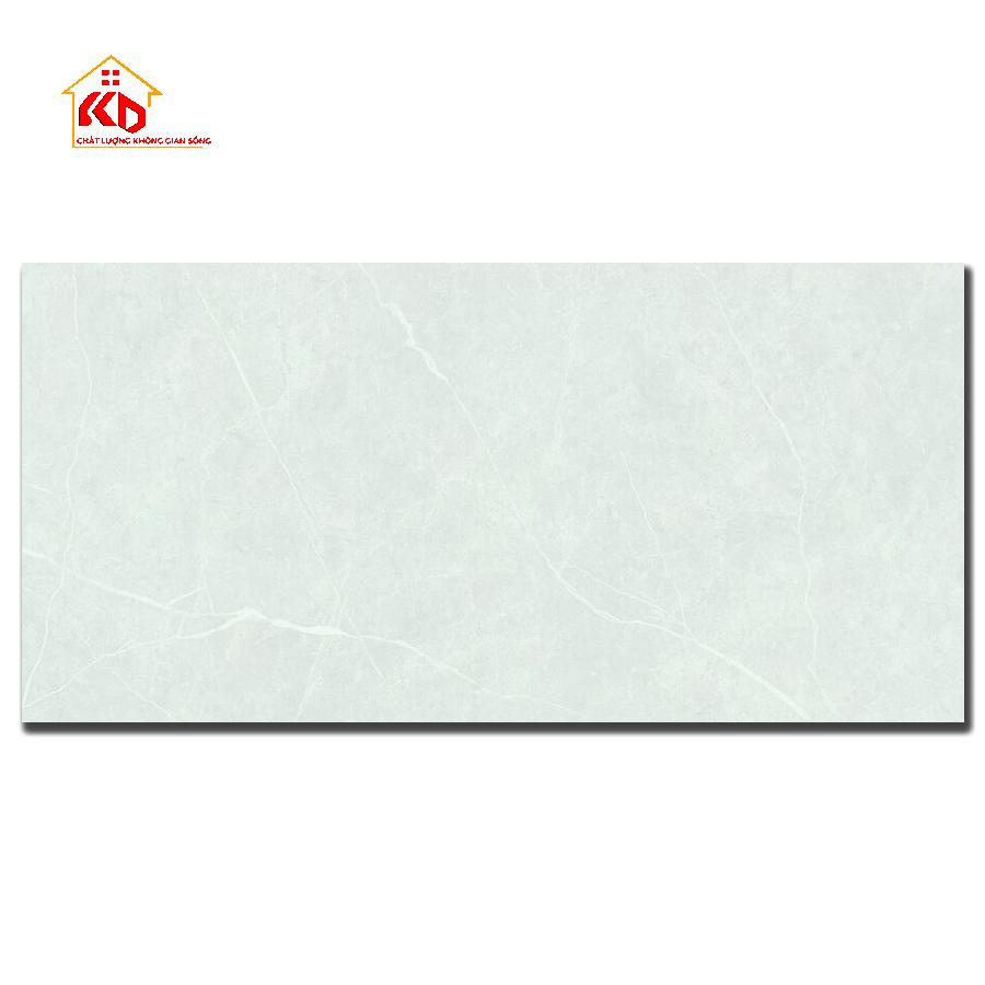 Gạch Đồng Tâm 30x60cm 3060GECKO010