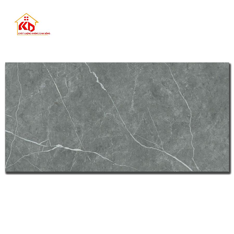 Gạch Đồng Tâm 30x60cm 3060GECKO011