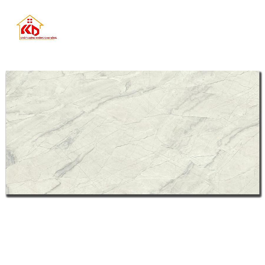 Gạch Đồng Tâm 30x60cm 3060GECKO014