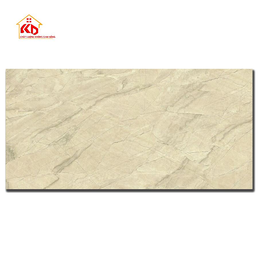 Gạch Đồng Tâm 30x60cm 3060GECKO015