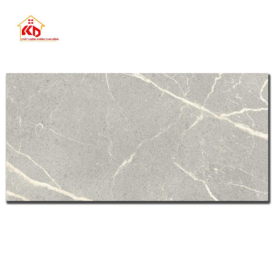 Gạch Đồng Tâm 30x60cm 3060HOAN