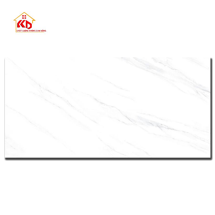 Gạch Đồng Tâm 30x60cm 3060NOBLE001-H+