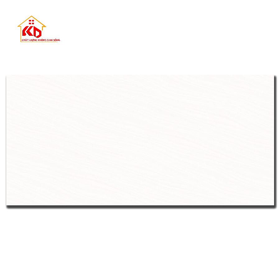 Gạch Đồng Tâm 30x60cm 3060ROXY001