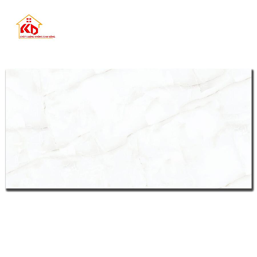 Gạch Đồng Tâm 30x60cm 3060ROXY003