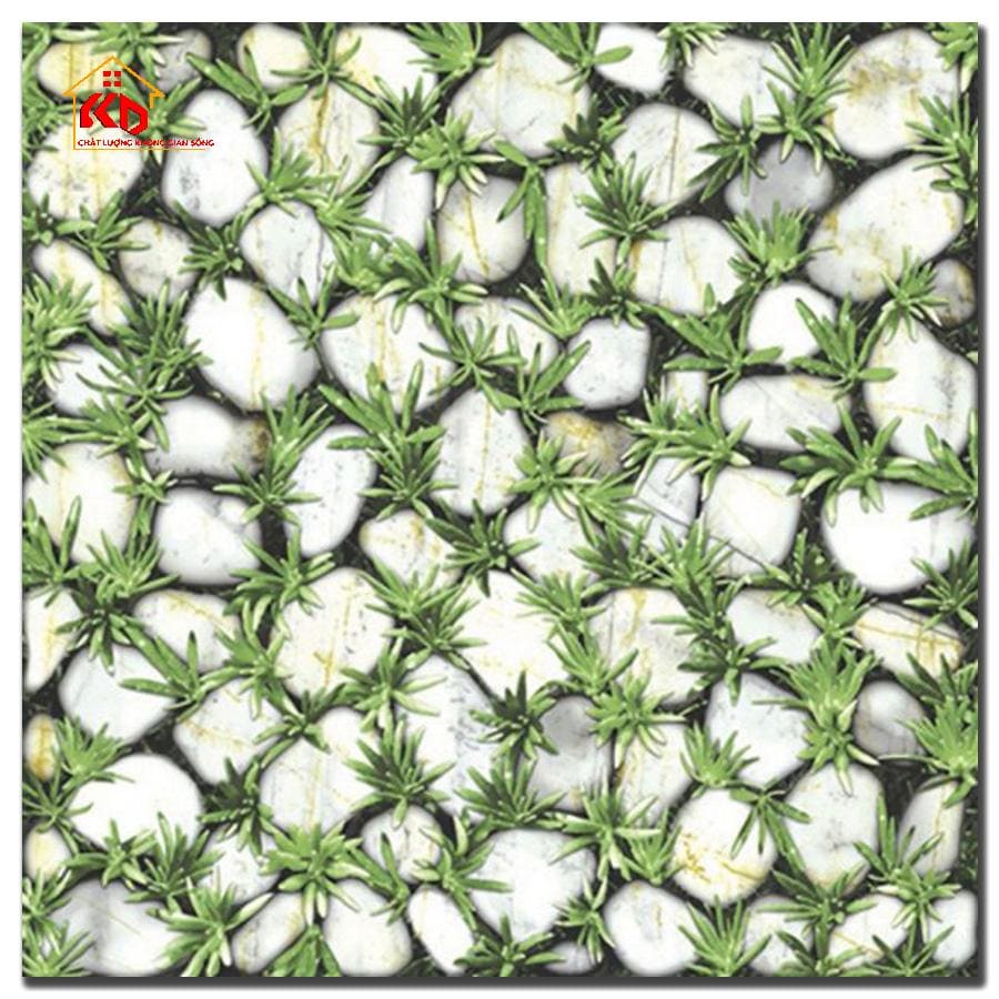 Gạch Đồng Tâm 40x40cm 4040CLG003