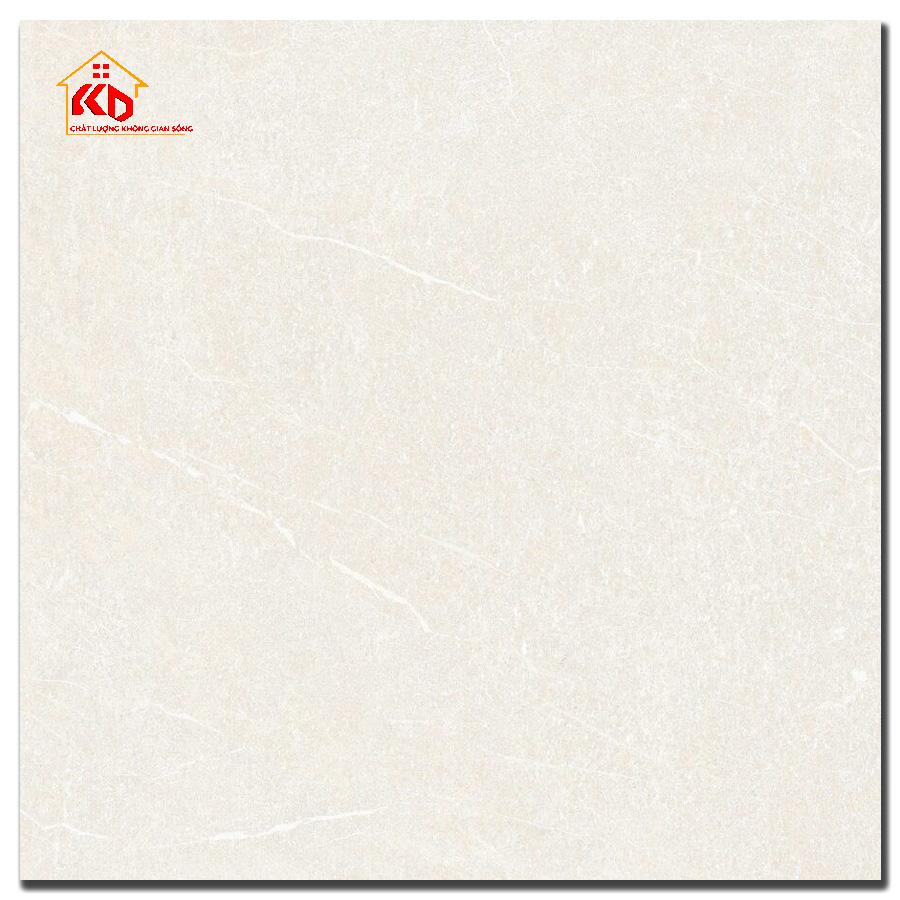 Gạch Đồng Tâm 40x40cm 4040GECKO002