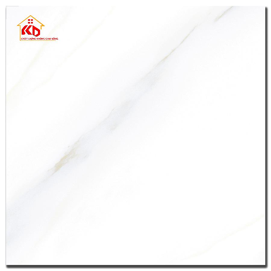 Gạch Đồng Tâm 40x40cm 4040GECKO004