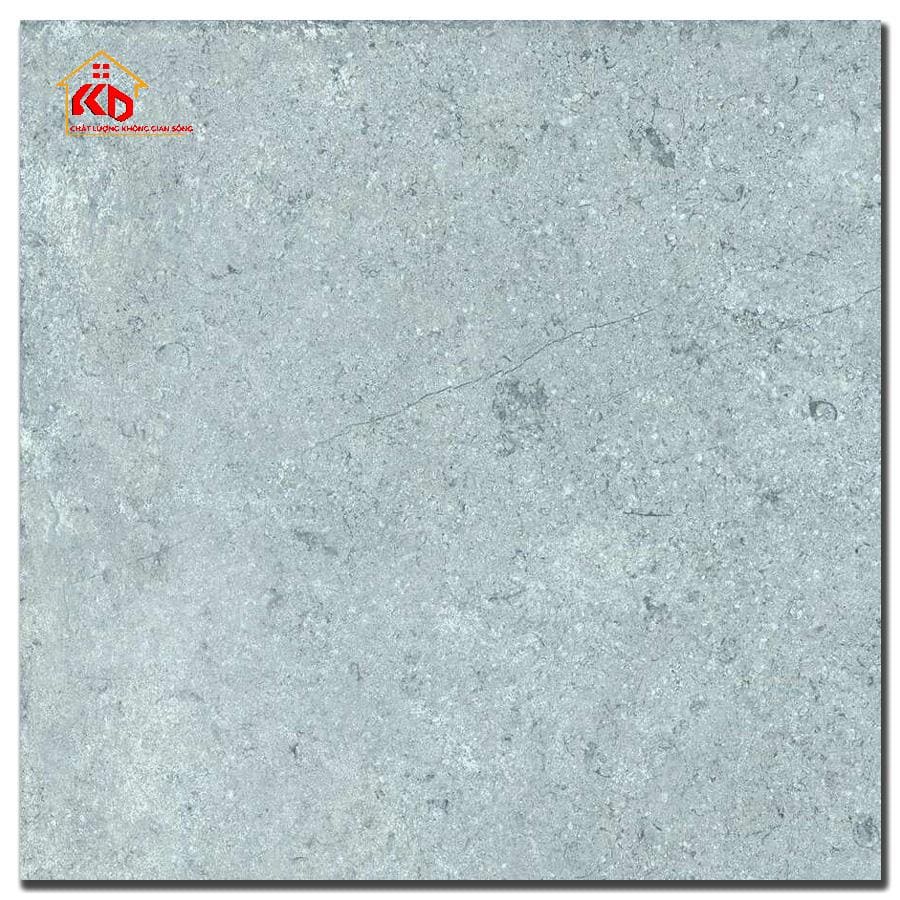 Gạch Đồng Tâm 40x40cm 4040GECKO006