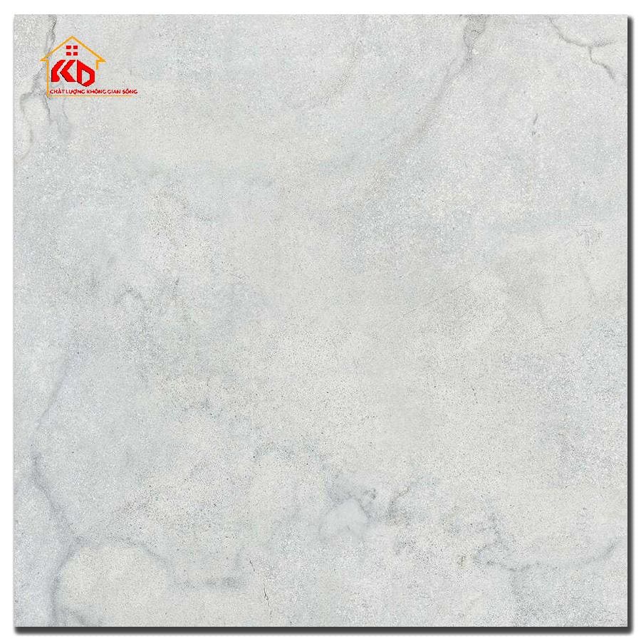 Gạch Đồng Tâm 40x40cm 4040GECKO007