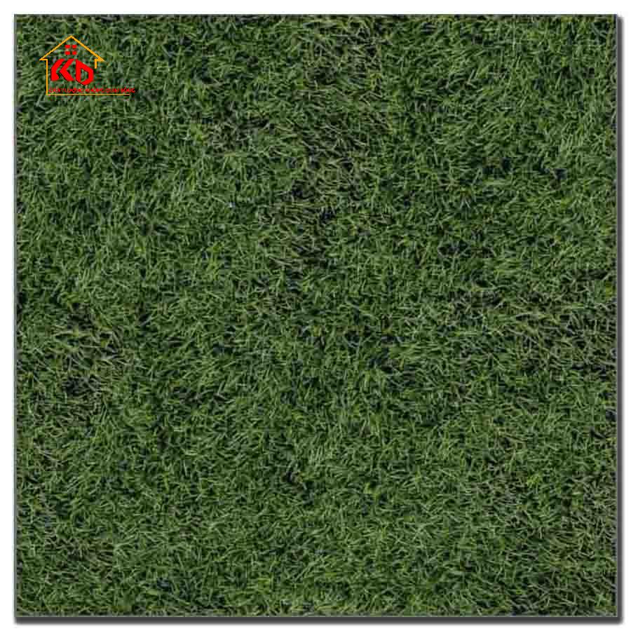 Gạch Đồng Tâm 40x40cm 4040GREENERY002