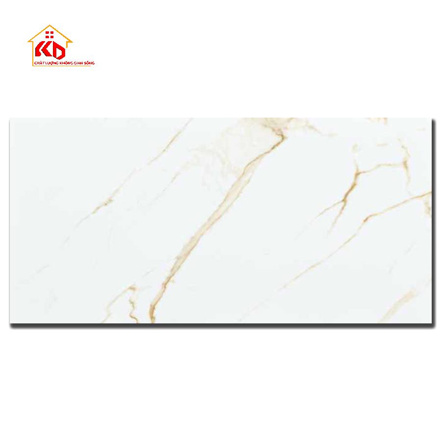 Gạch Đồng Tâm 40x80cm 4080GECKO002
