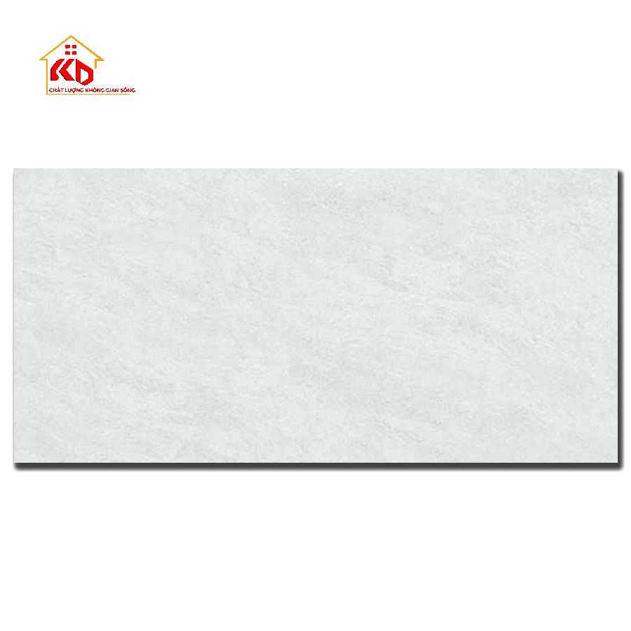 Gạch Đồng Tâm 40x80cm 4080GECKO003