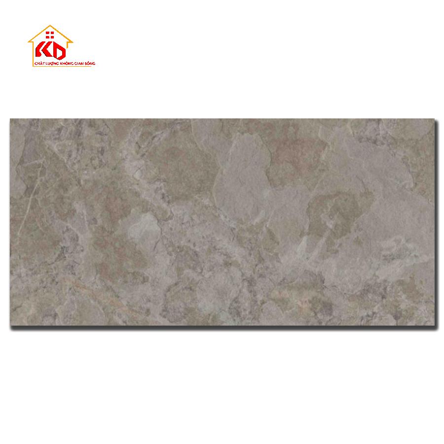 Gạch Đồng Tâm 40x80cm 4080SAPA006-H+