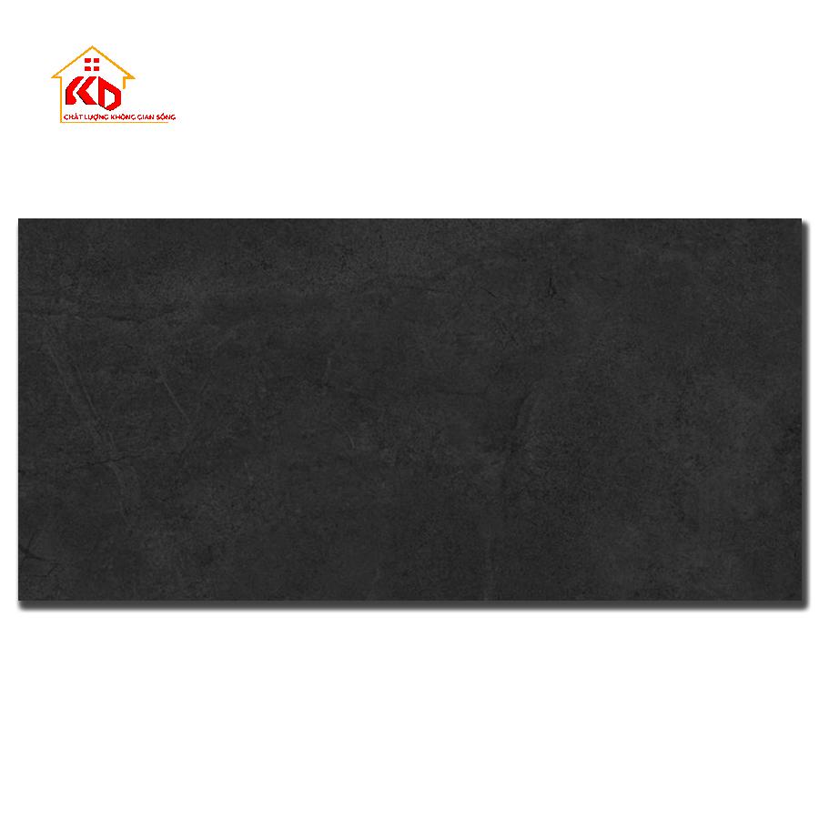 Gạch Đồng Tâm 40x80cm 4080SAPA008-H+