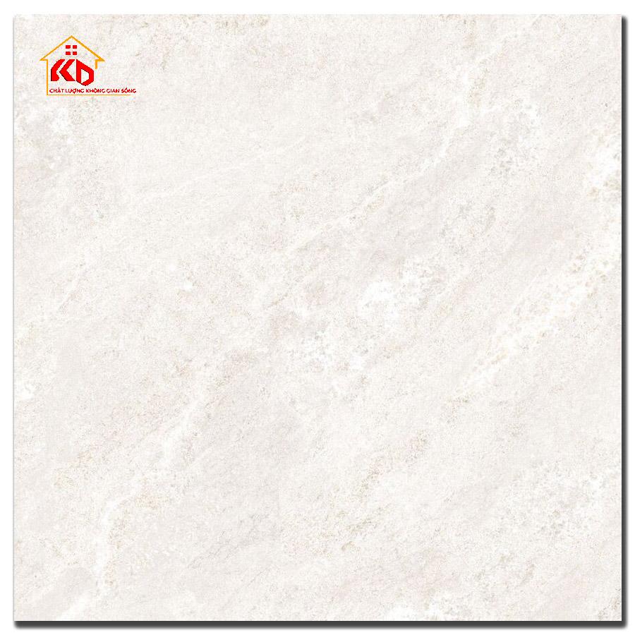 Gạch Đồng Tâm 60x60cm 6060BINHTHUAN005