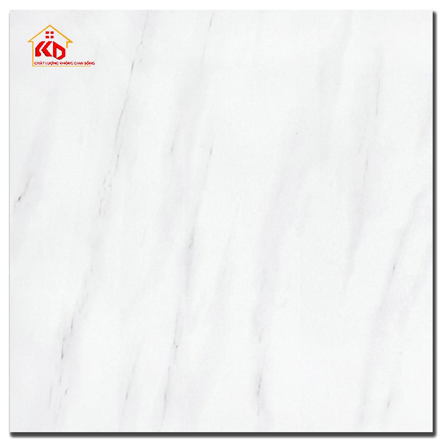Gạch Đồng Tâm 60x60cm 6060CARARAS002-FP