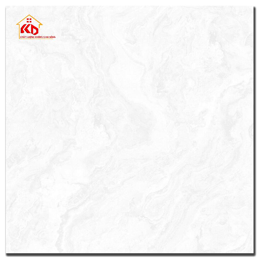 Gạch Đồng Tâm 60x60cm 6060DONGVAN001-FP-H+
