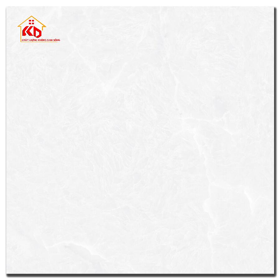 Gạch Đồng Tâm 60x60cm 6060DONGVAN002-FP-H+