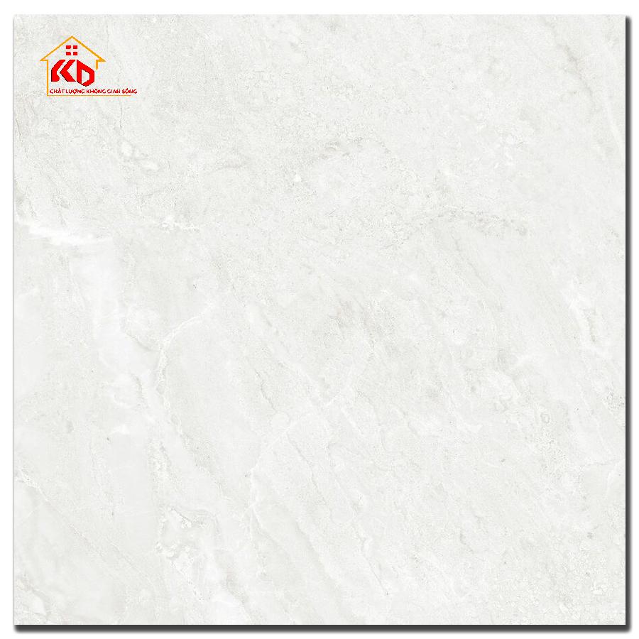 Gạch Đồng Tâm 60x60cm 6060DONGVAN003-FP-H+