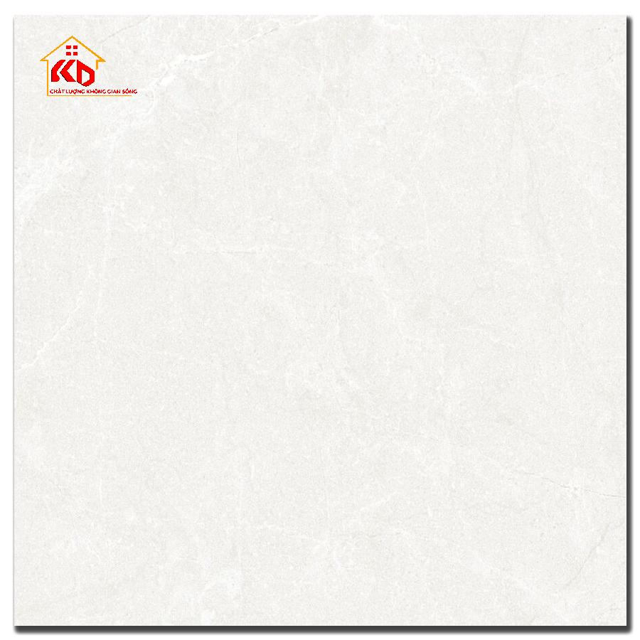 Gạch Đồng Tâm 60x60cm 6060DONGVAN004-FP-H+