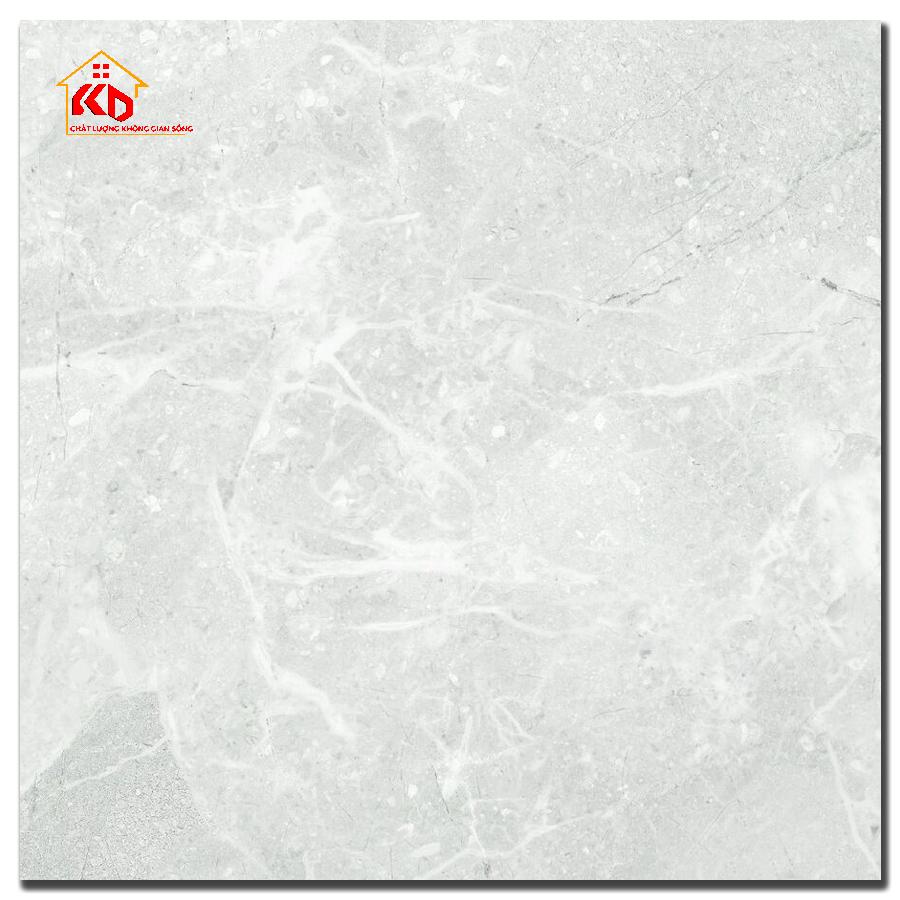 Gạch Đồng Tâm 60x60cm 6060DONGVAN005-FP-H+