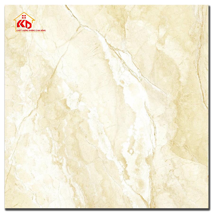 Gạch Đồng Tâm 60x60cm 6060DONGVAN006-FP-H+