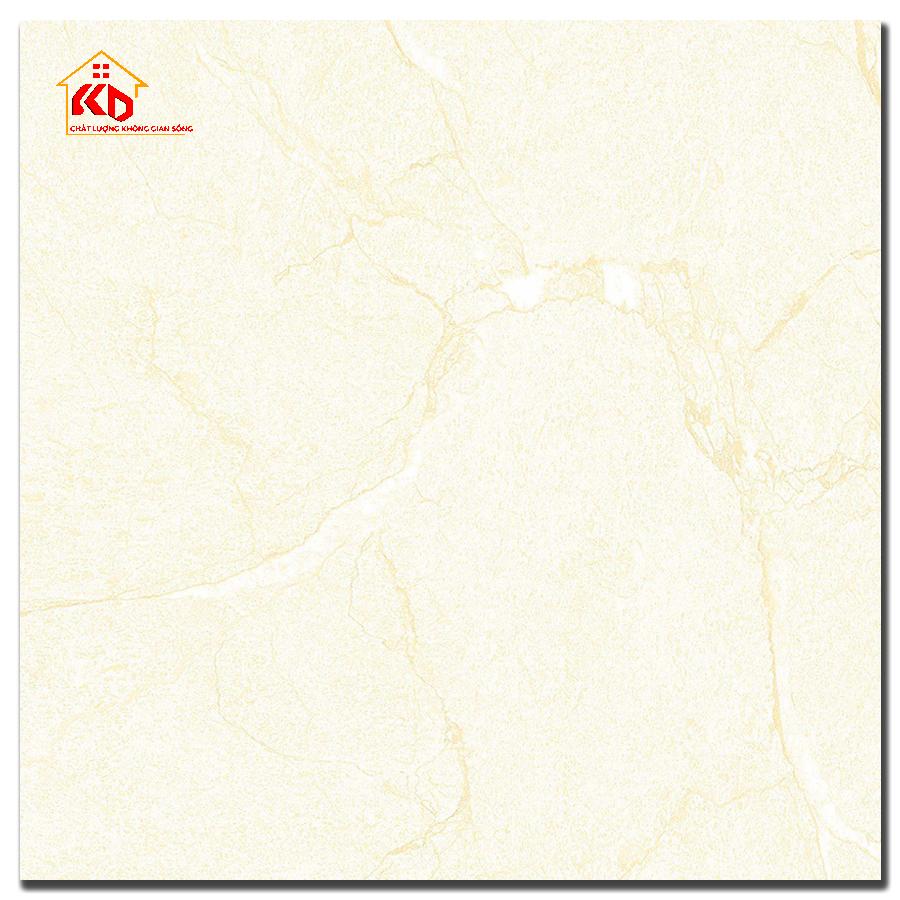Gạch Đồng Tâm 60x60cm 6060HAIVAN003-FP