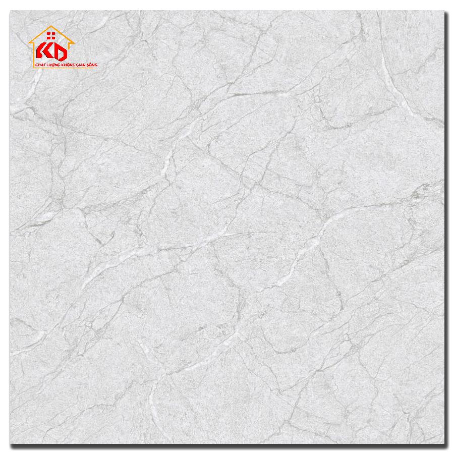 Gạch Đồng Tâm 60x60cm 6060HAIVAN004-FP