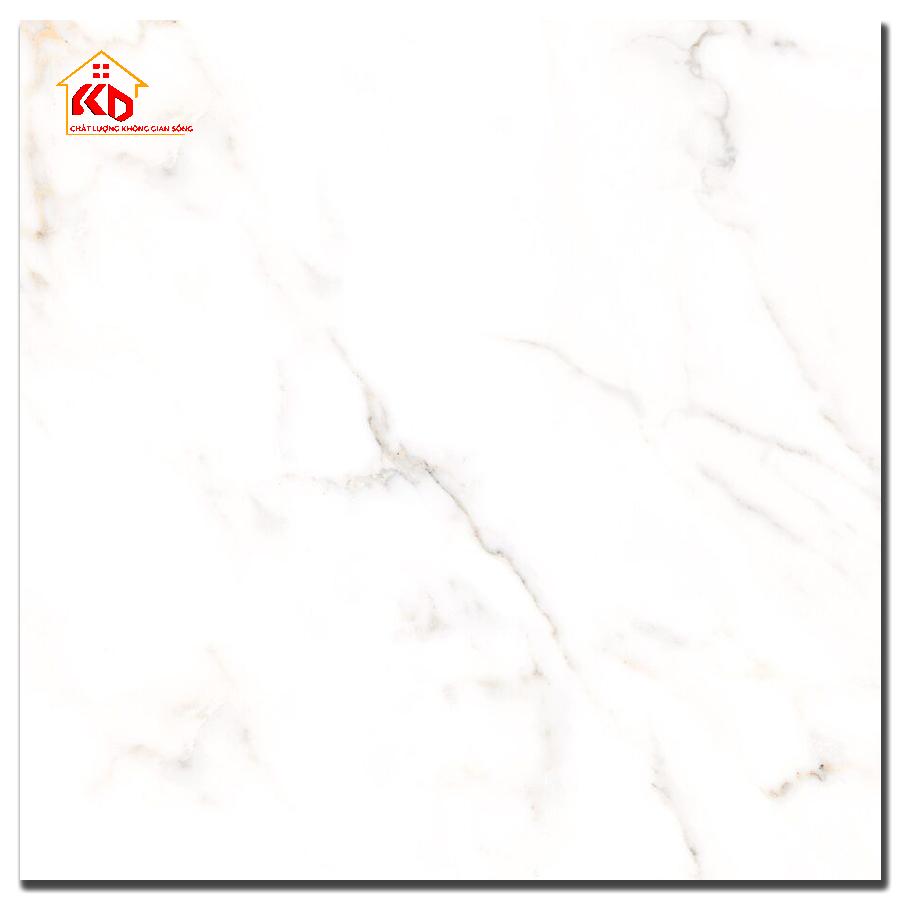 Gạch Đồng Tâm 60x60cm 6060MOMENT001