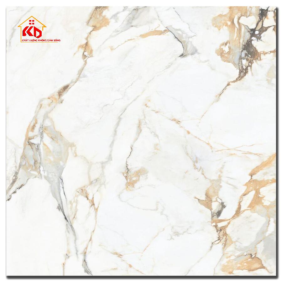 Gạch Đồng Tâm 60x60cm 6060MOMENT002