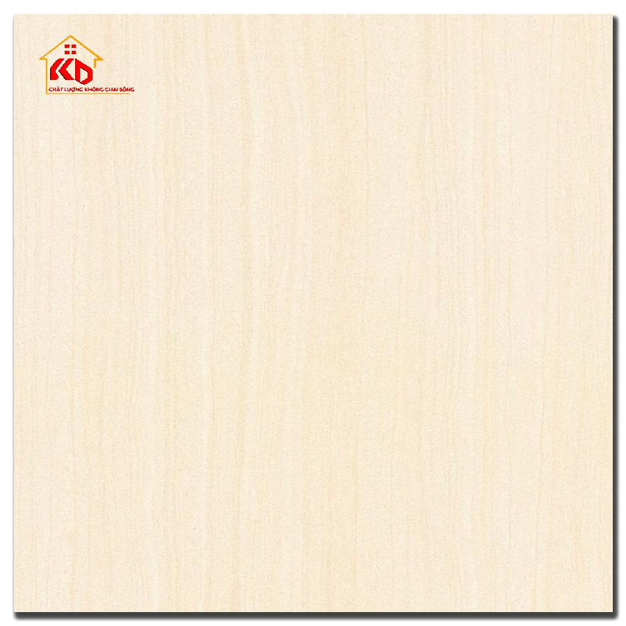 Gạch Đồng Tâm 60x60cm 6060MOMENT008