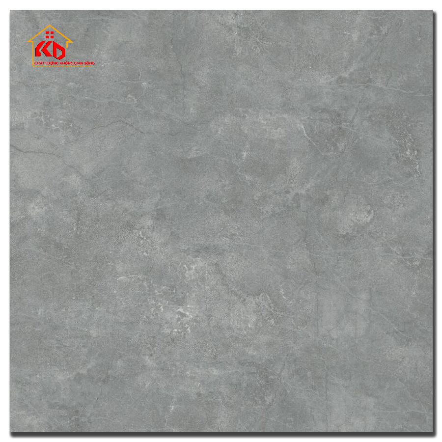Gạch Đồng Tâm 60x60cm 6060MOMENT11