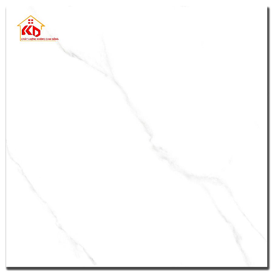 Gạch Đồng Tâm 60x60cm 6060SICILY001-FP-H+
