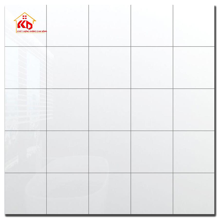 Gạch Đồng Tâm 20x20cm TL01